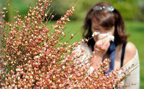 ���۹���֢״ �������۹�������������